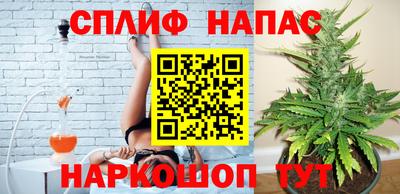 гашик Гай