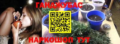гашик Гай