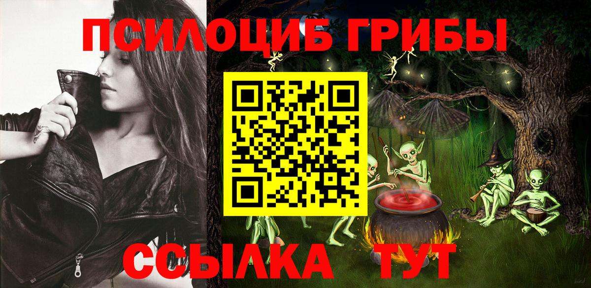 Назрань  Псилоцибиновые грибы Psilocybe  Вход с VPN 